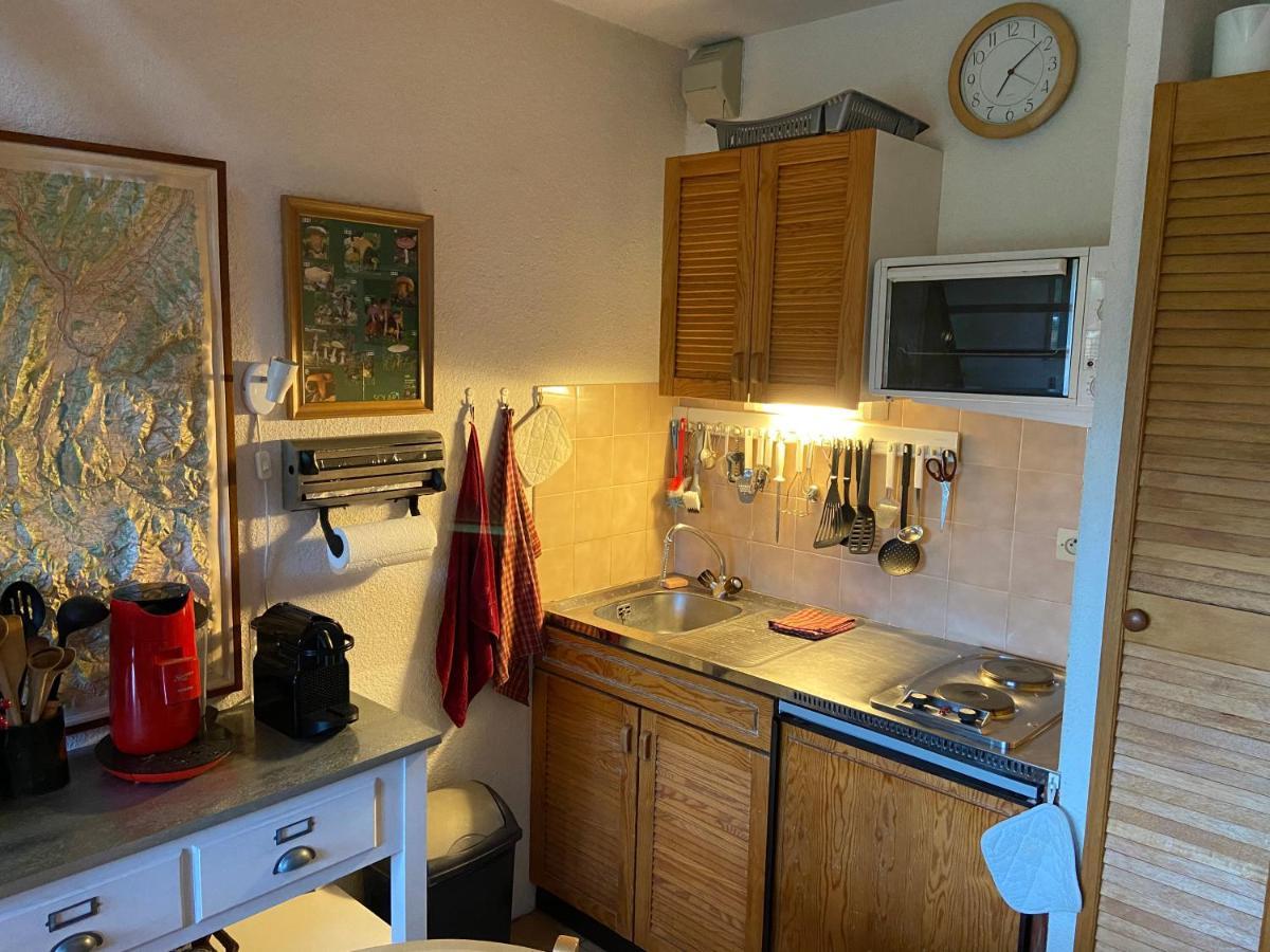 Apartament Plenouze Autrans-Meaudre-en-Vercors Zewnętrze zdjęcie